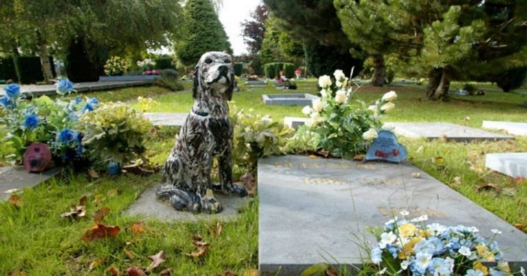 Dog buried with owner with a statue of the dog by its owner's grave
